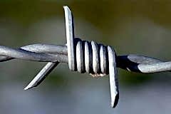 DİKENLİ-TEL-5