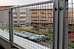 pano-cit-5